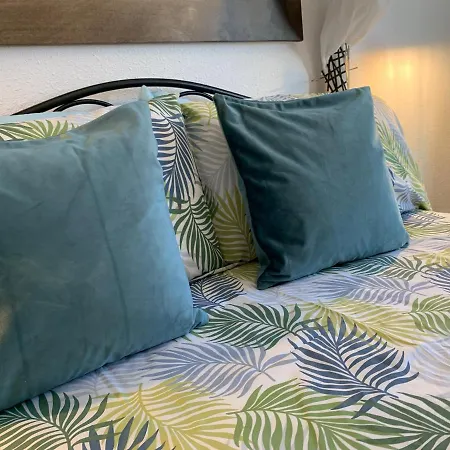 Dream Ravine 아파트 산타크루스데 테네리페